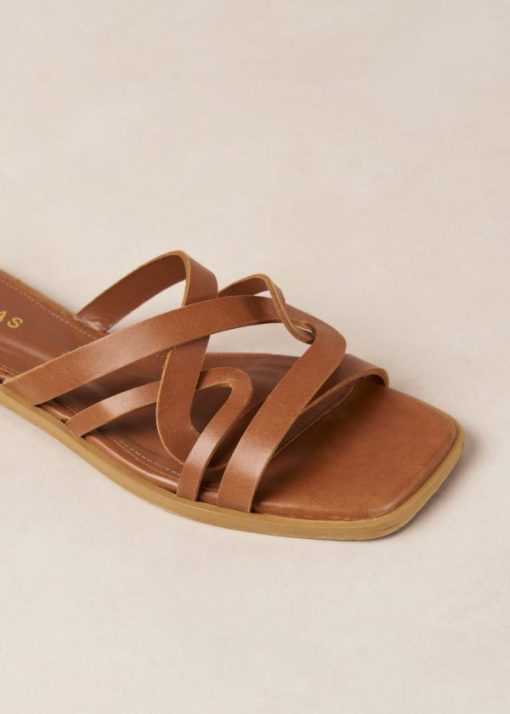 Eastcoastmode.shop57635a9e4e 6