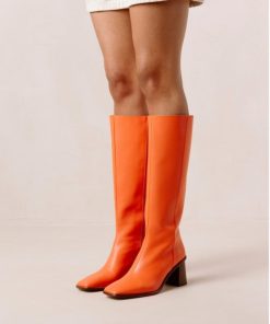 Eastcoastmode.shop66a51fd179 6